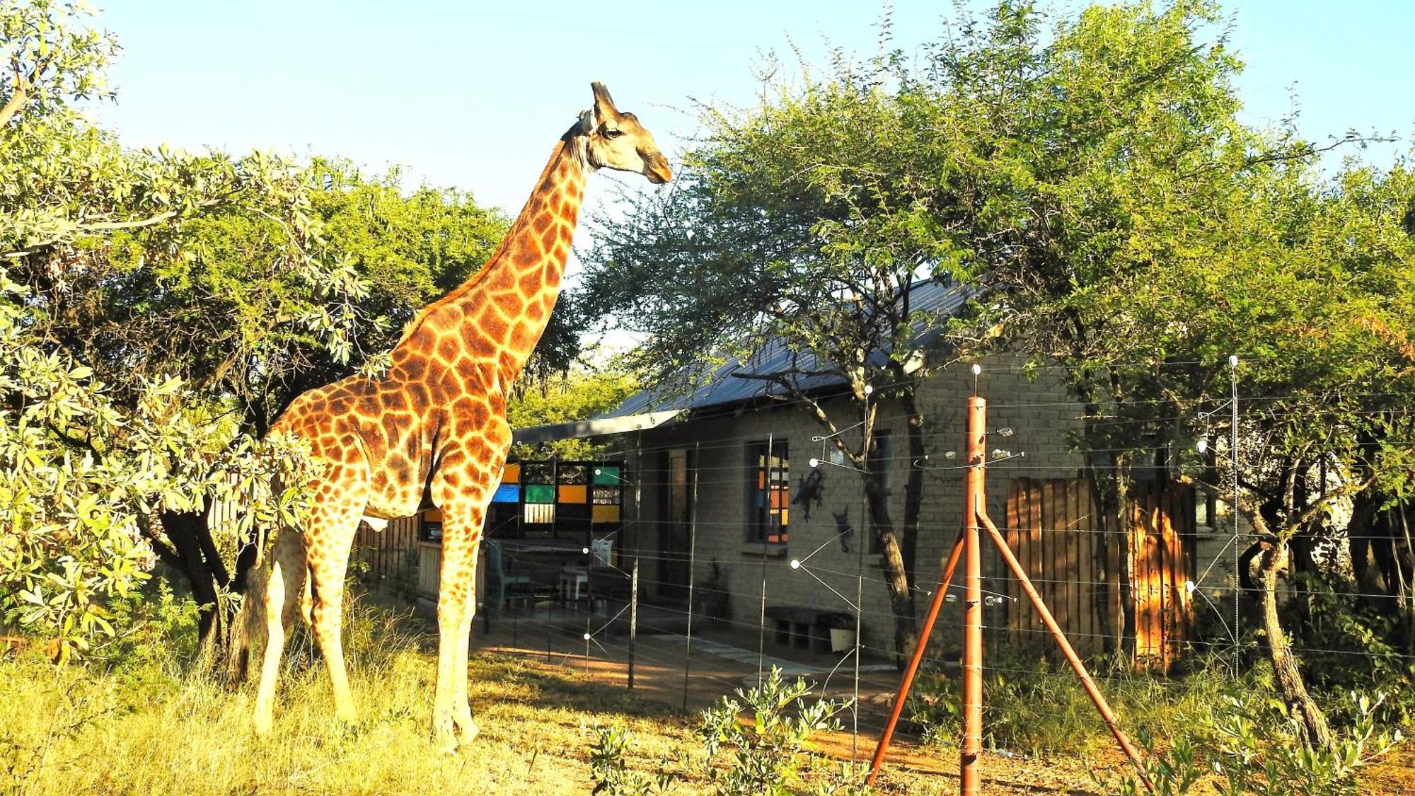 Marulani Bush Lodge Klipdrift Zewnętrze zdjęcie