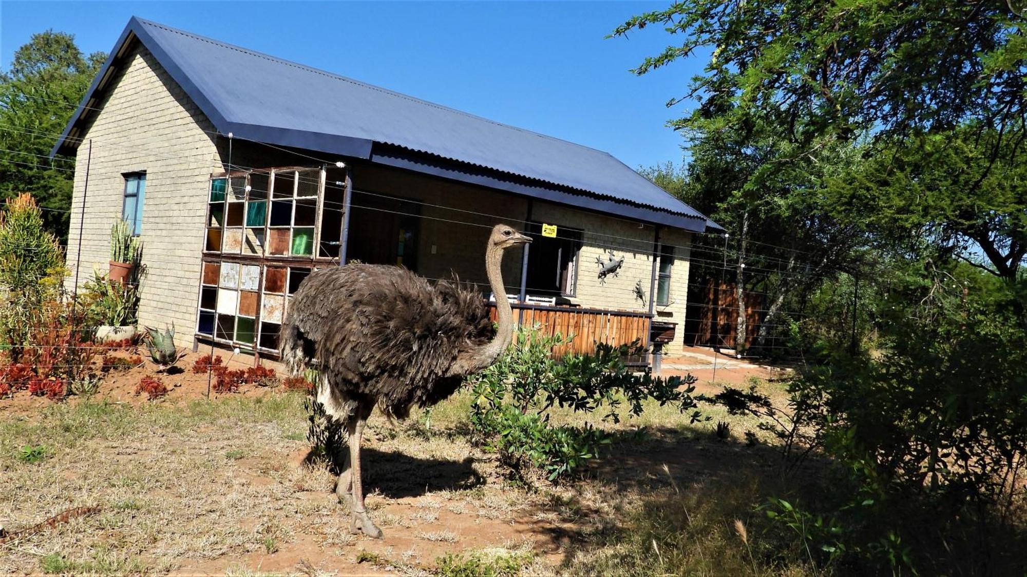 Marulani Bush Lodge Klipdrift Zewnętrze zdjęcie